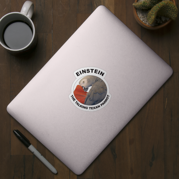 Einstein Parrot African Grey Logo by Einstein Parrot